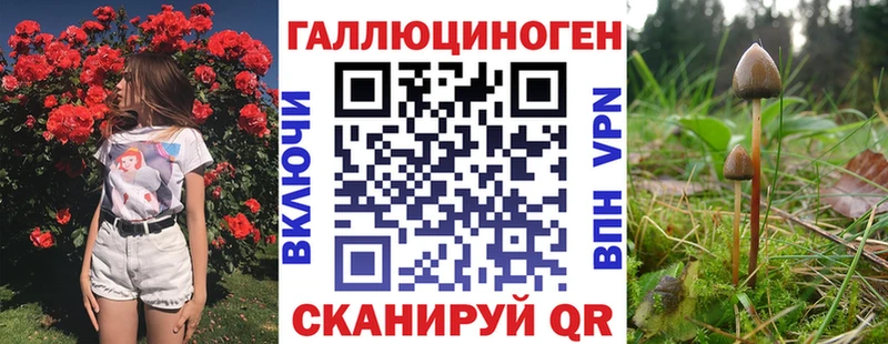 нарко площадка формула  Калач  Псилоцибиновые грибы Cubensis 